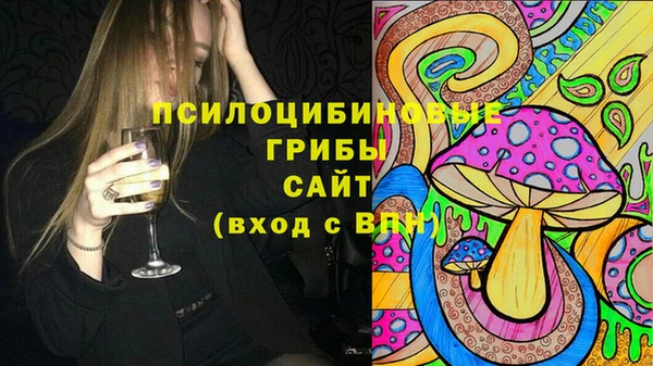 ПСИЛОЦИБИНОВЫЕ ГРИБЫ Вязники